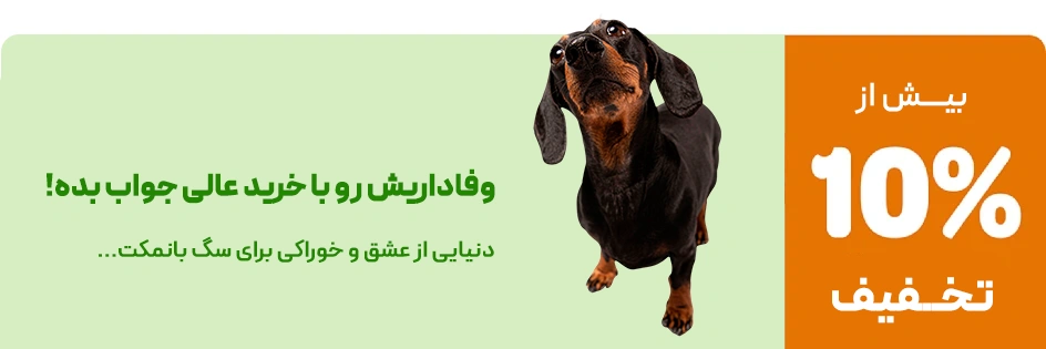 dogbanner-ezgif.com-png-to-webp-converter